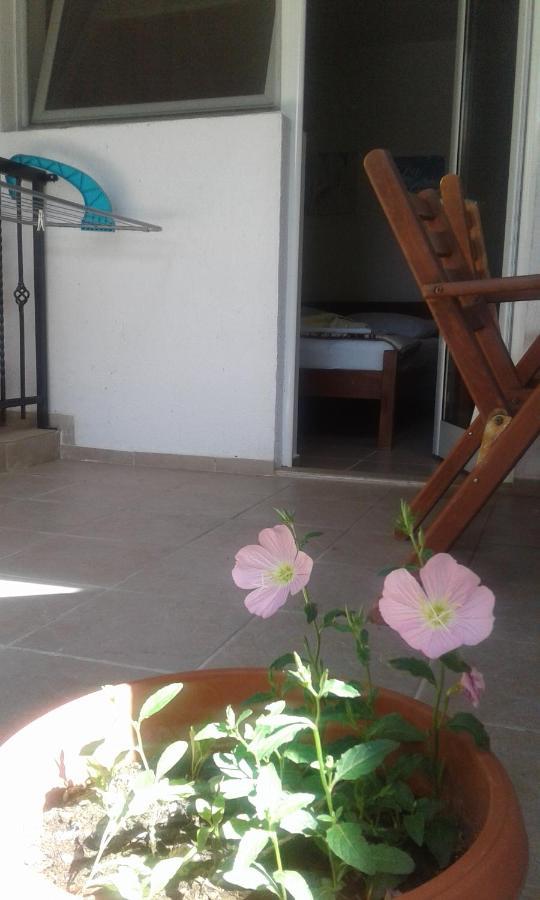 Villa Renesans ستار دوجران المظهر الخارجي الصورة